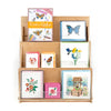3-Tier Multipurpose Display