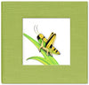 Grasshopper Sticky Notebook Cover