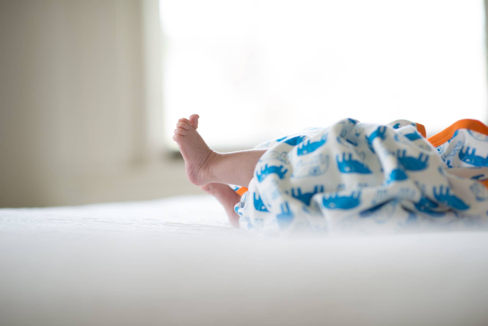 Organic Elephant Blanket | Unisex | fairtrade (IS)