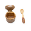 Repurposed Coffeewood Mini Salt Box and Spoon (IS)