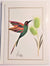 Greeting Card Hummingbird