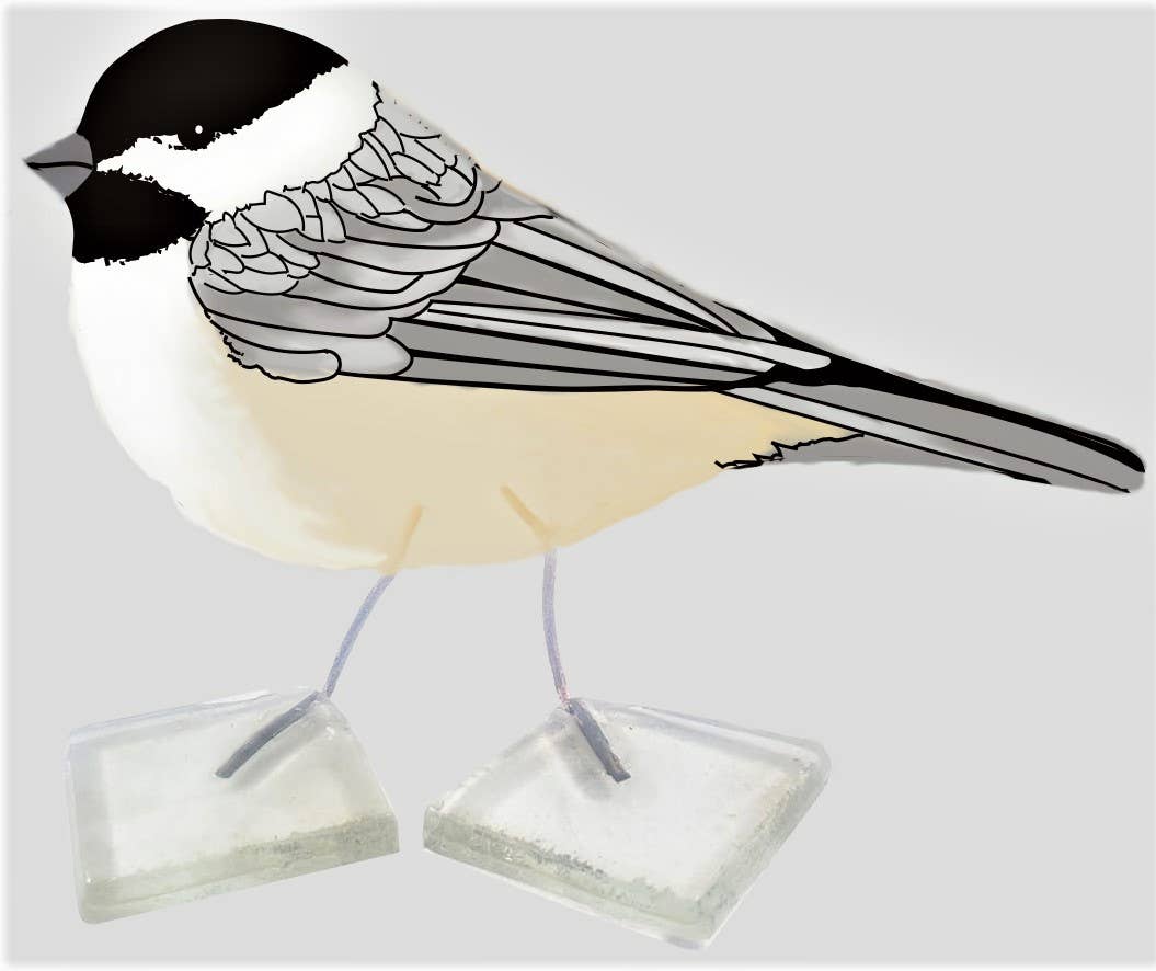 Backyard Bird Chickadee