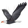 American Bald Eagle BIrd Flying Mobile  (IS)