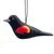 Red-winged Blackbird Balsa Ornament (IS)