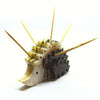 Hedgehog toothpick holder