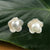 Hidden Pearl Studs - Sterling Silver, Indonesia