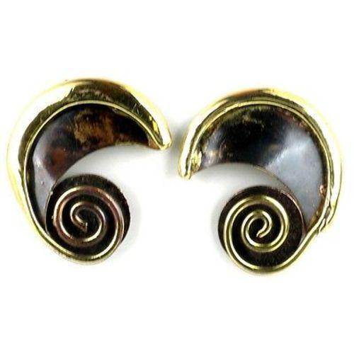 Evolution Brass Post Earrings - Brass Images (N)