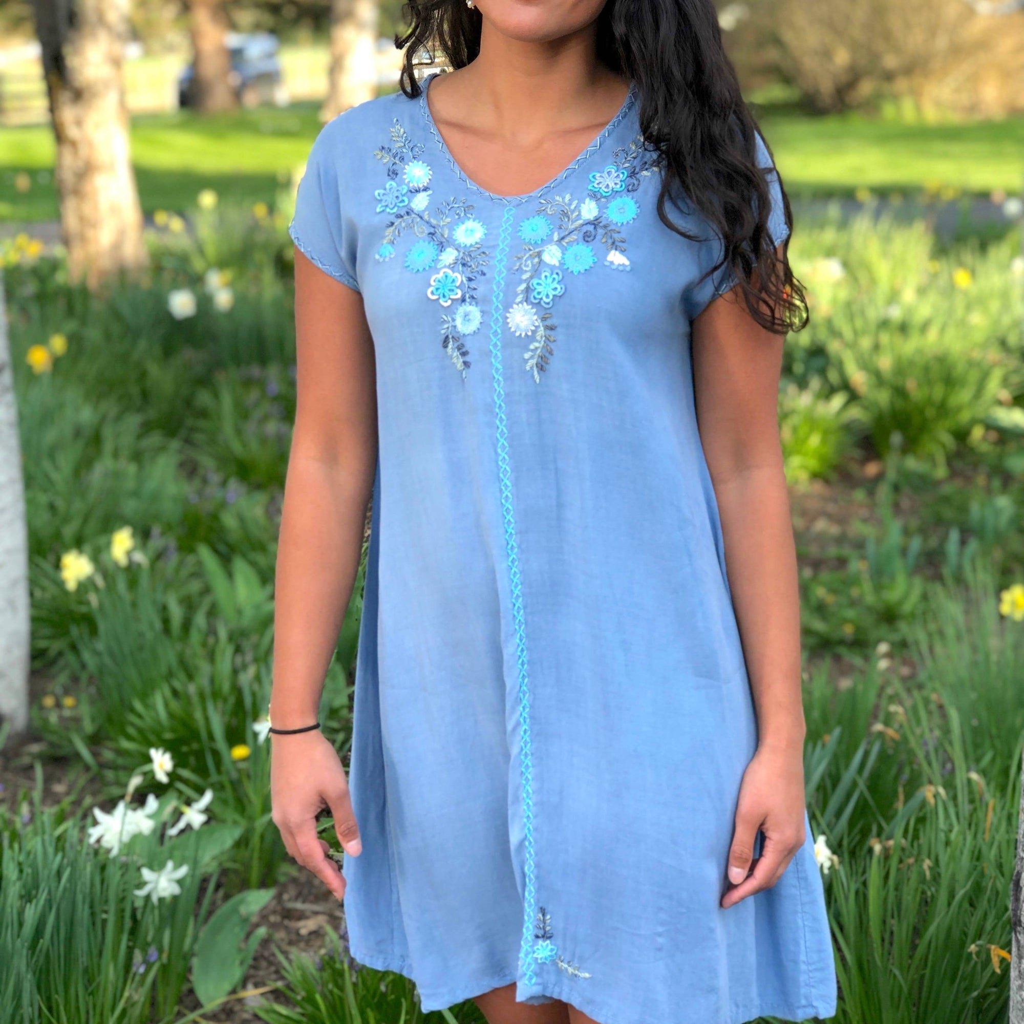 Felisa Sky Blue Garden Dress