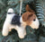 Holiday Ornament Dog
