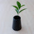 Black Pyramid Vases