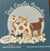 Door County Animals - a board book by Sally Collins, Riley Smith Illustrator