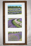 Fragrant Isle Framed Photo Triptych (IS)